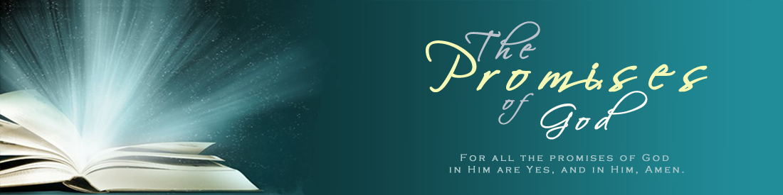 Gods Promises Banner